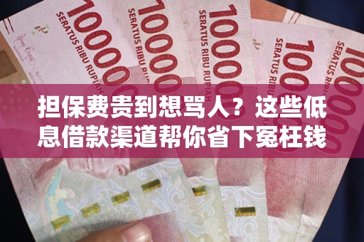 济南担保费贵到想骂人？这些低息借款渠道帮你省下冤枉钱