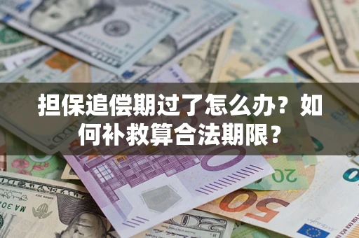 济南担保追偿期过了怎么办？如何补救算合法期限？