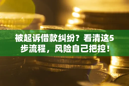 济南被起诉借款纠纷？看清这5步流程，风险自己把控！